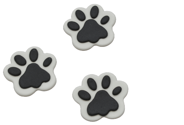 ŚLADAMI KOCICH ŁAPEK