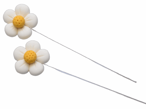 STOKROTKI NA DRUCIKU