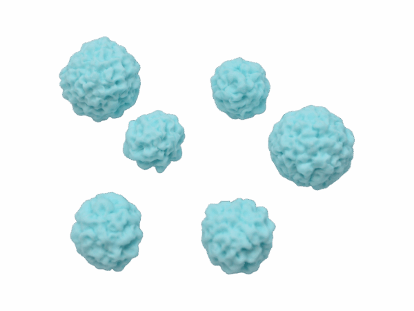 CUKROWE BŁĘKITNE POMPONIKI
